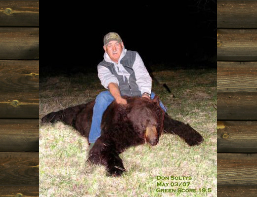 Bear